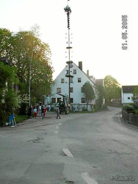 2005-05-01 maibaum aufstellen 088 01 05 2005 a