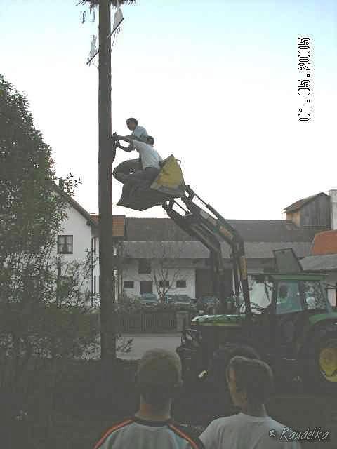 2005-05-01 maibaum aufstellen 091 01 05 2005 a