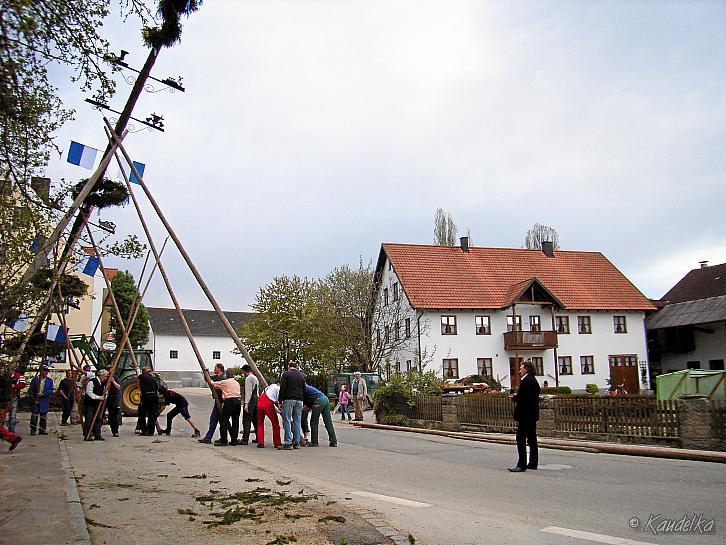 2008-04-30 maibaum-aufstellen 2008 30 04 2008 17 47 24 a