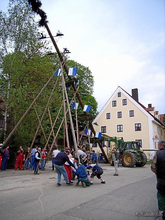 2008-04-30 maibaum-aufstellen 2008 30 04 2008 17 48 58 a