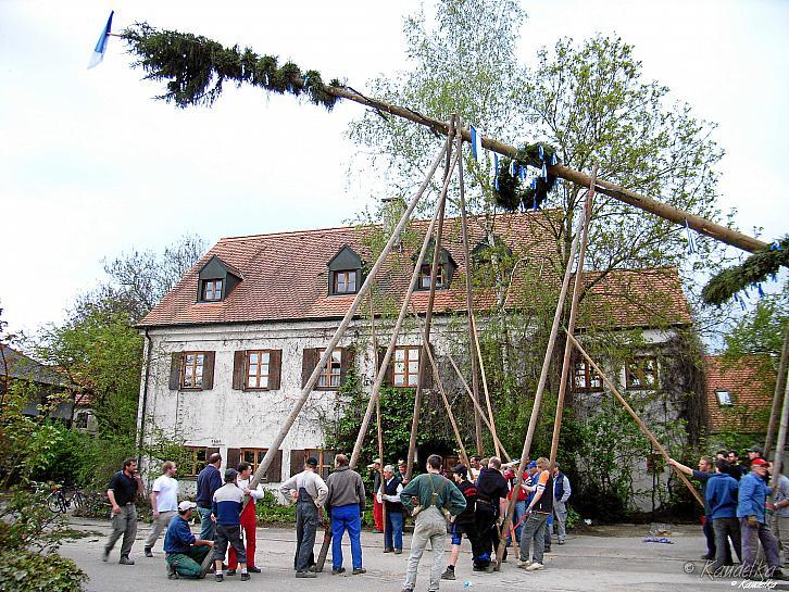 2008-04-30 maibaum-aufstellen 2008 30 04 2008 17 49 20 pressefoto1