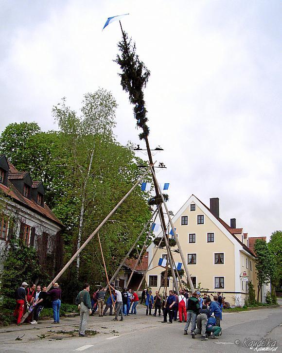 2008-04-30 maibaum-aufstellen 2008 30 04 2008 18 01 08 pressefoto2