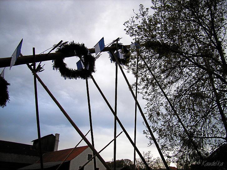 2008-04-30 maibaum-aufstellen 2008 30 04 2008 18 05 21 a
