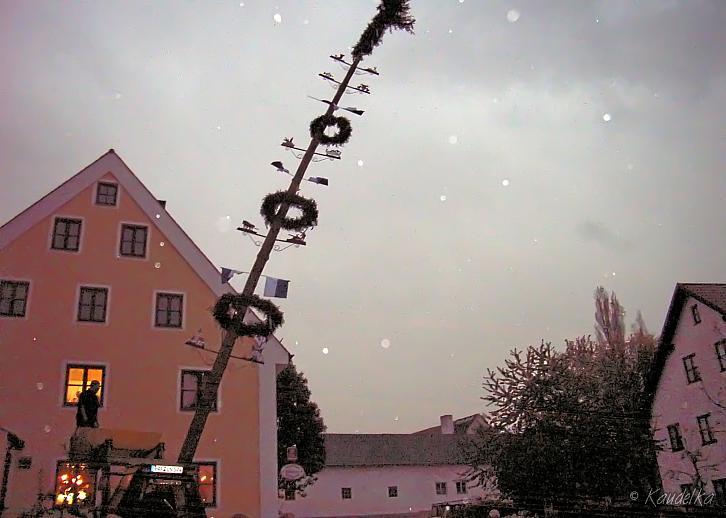 2008-04-30 maibaum-aufstellen 2008 30 04 2008 19 02 20 b