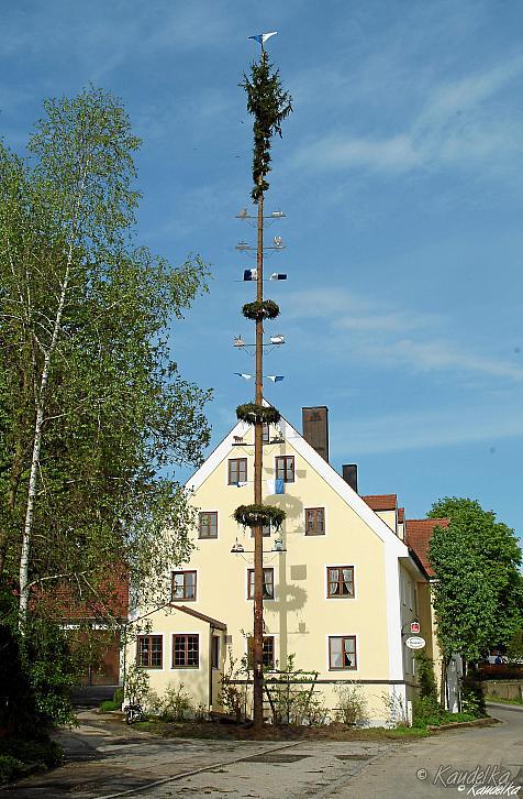 2008-05-01 maibaum-aufstellen 2008 01 05 2008 08 57 40 pressefoto3