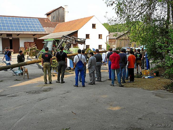 2009-05-01 maibaum-aufstellen 2009 01 05 2009 17 05 31 a