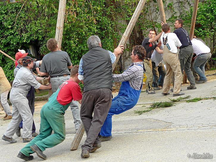 2009-05-01 maibaum-aufstellen 2009 01 05 2009 17 41 59 a