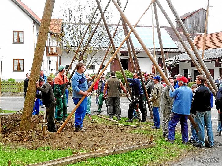 2010-05-01 maibaum-aufstellen 2010 01 05 2010 19 06 33 b