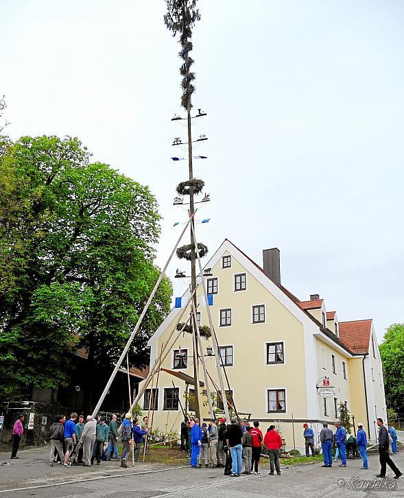 2010-05-01 maibaum-aufstellen 2010 01 05 2010 19 07 42 b