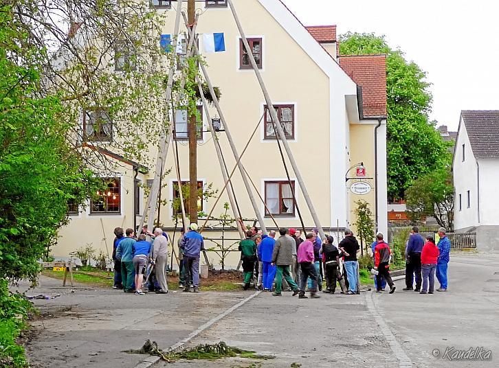 2010-05-01 maibaum-aufstellen 2010 01 05 2010 19 09 41 b