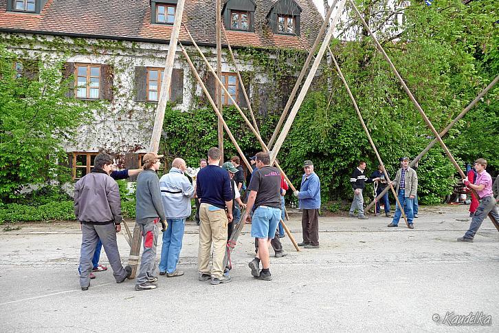 2011-05-01 maibaum-aufstellen 2011 01 05 2011 17 03 28 c