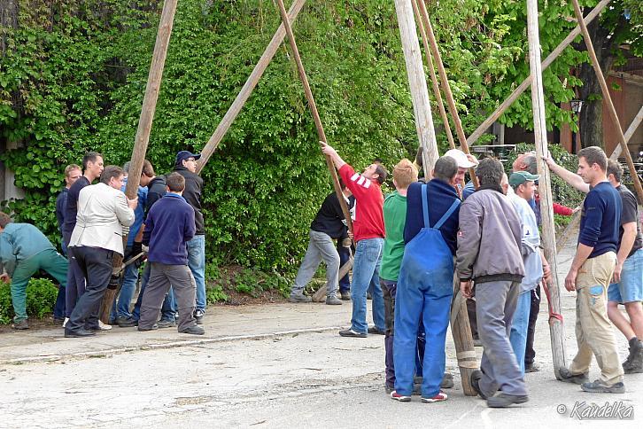 2011-05-01 maibaum-aufstellen 2011 01 05 2011 17 04 05 c