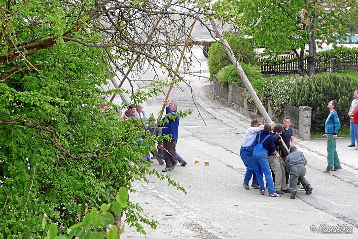 2011-05-01 maibaum-aufstellen 2011 01 05 2011 17 33 31 c