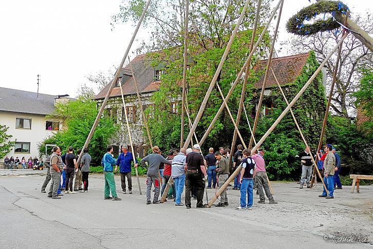 2011-05-01 maibaum-aufstellen 2011 01 05 2011 17 38 17 b