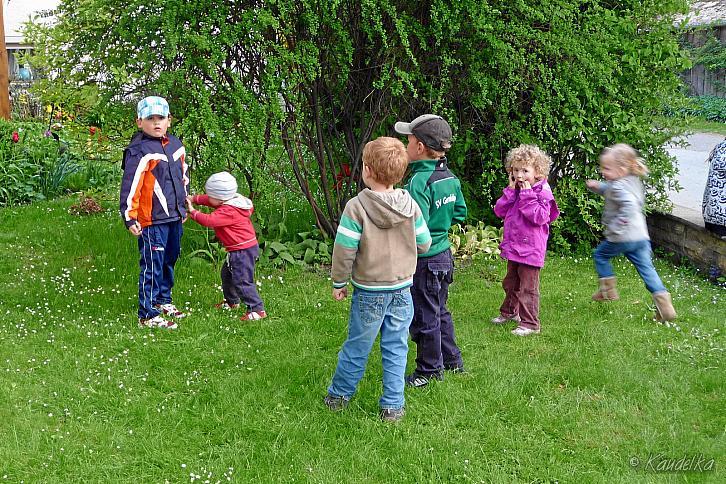 2011-05-01 maibaum-aufstellen 2011 01 05 2011 17 48 37 c