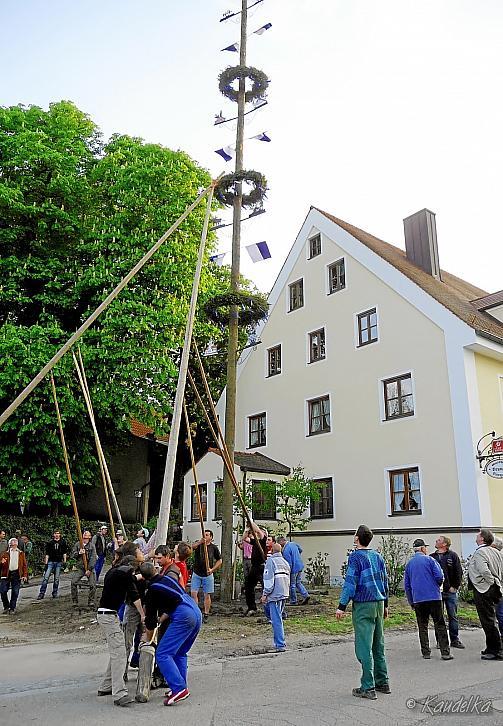 2011-05-01 maibaum-aufstellen 2011 01 05 2011 18 32 45 b