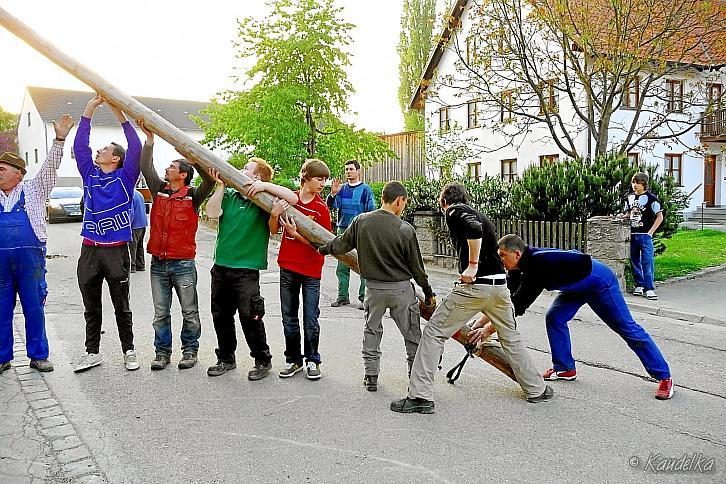 2011-05-01 maibaum-aufstellen 2011 01 05 2011 18 33 23 b