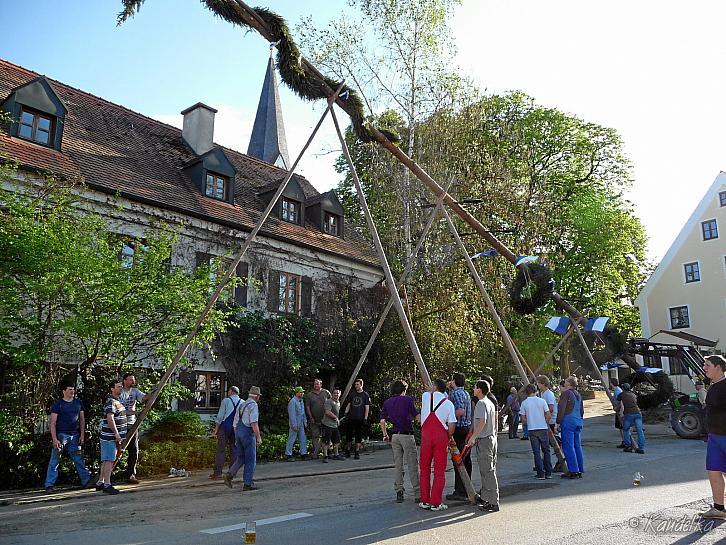 2012-05-01 maibaum-aufstellen 2012 01 05 2012 18 17 42 c