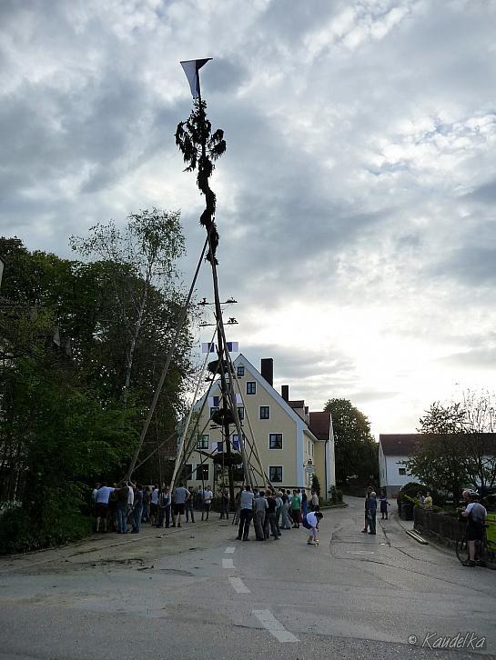 2012-05-01 maibaum-aufstellen 2012 01 05 2012 19 12 14 q
