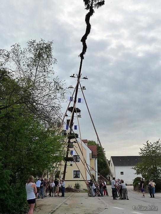 2012-05-01 maibaum-aufstellen 2012 01 05 2012 19 34 07 q