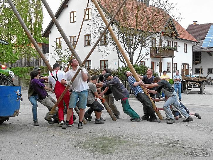 2012-05-01 maibaum-aufstellen 2012 01 05 2012 20 08 30 c