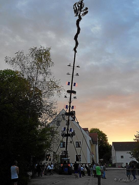 2012-05-01 maibaum-aufstellen 2012 01 05 2012 20 10 05 c