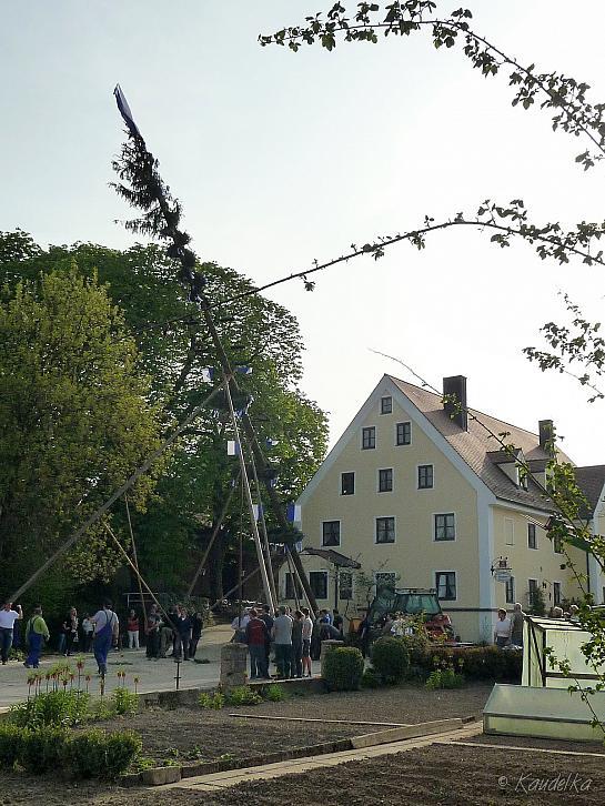 2013-05-01 maibaum-aufstellen 2013 01 05 2013 17 56 55 q