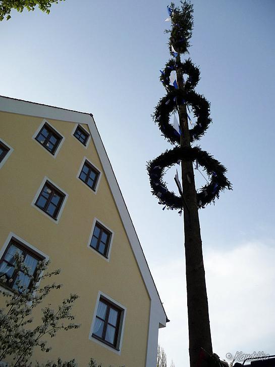 2013-05-01 maibaum-aufstellen 2013 01 05 2013 18 59 17 q