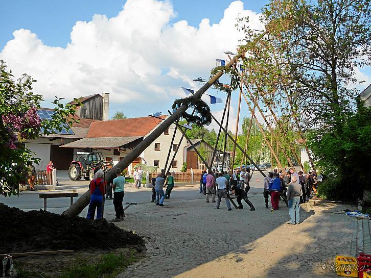 2014-04-17 maibaum-aufstellen 2014 17 04 2014 16 56 40 c