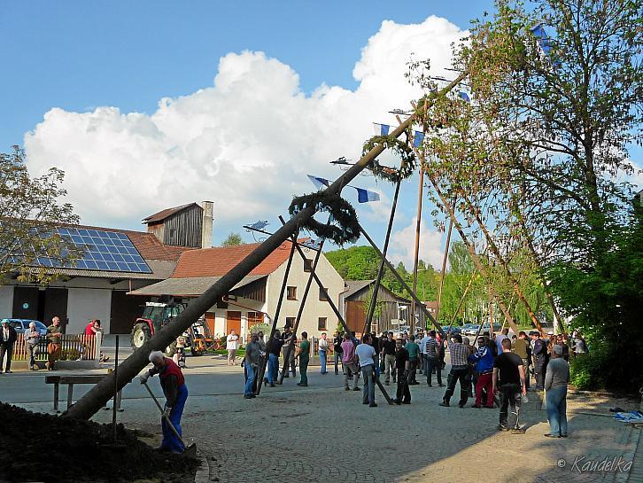 2014-04-17 maibaum-aufstellen 2014 17 04 2014 16 59 34 c
