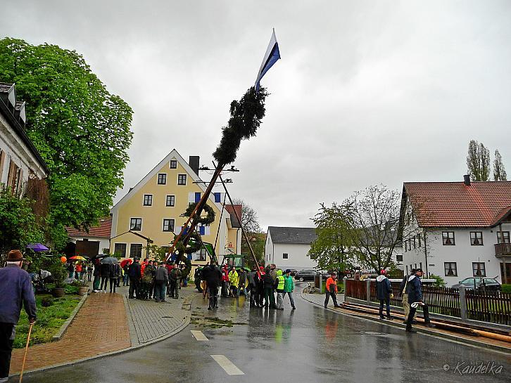 2015-05-01 maibaum-aufstellen 2015 01 05 2015 17 23 00 f