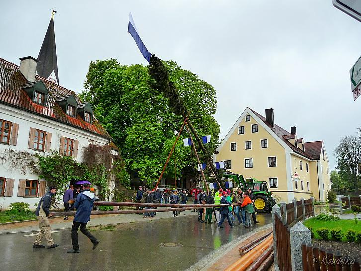 2015-05-01 maibaum-aufstellen 2015 01 05 2015 17 23 16 p