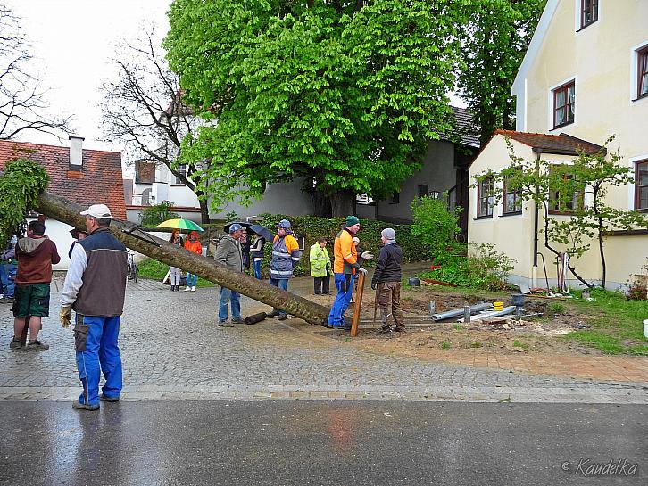 2015-05-01 maibaum-aufstellen 2015 01 05 2015 17 23 59 f