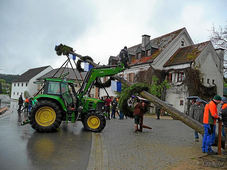 2015-05-01 maibaum-aufstellen 2015 01 05 2015 17 24 39 f