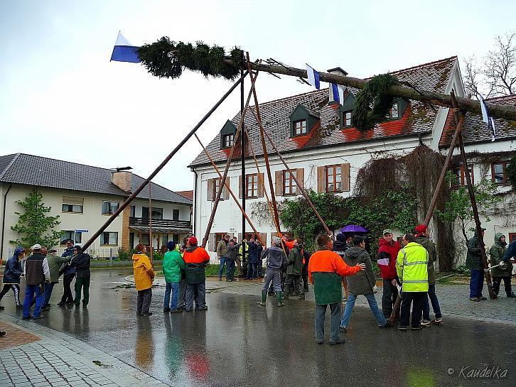 2015-05-01 maibaum-aufstellen 2015 01 05 2015 17 25 17 pf