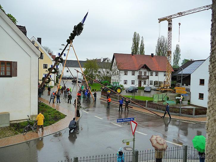 2015-05-01 maibaum-aufstellen 2015 01 05 2015 17 48 08 p