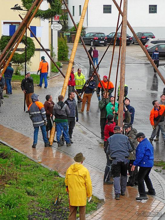 2015-05-01 maibaum-aufstellen 2015 01 05 2015 17 49 49 f