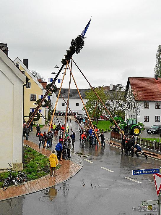 2015-05-01 maibaum-aufstellen 2015 01 05 2015 17 50 13 f