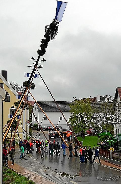 2015-05-01 maibaum-aufstellen 2015 01 05 2015 18 09 14 pf