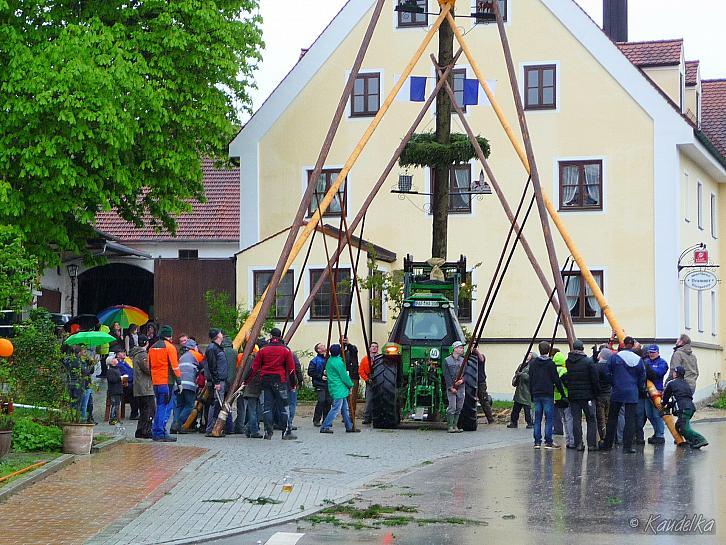 2015-05-01 maibaum-aufstellen 2015 01 05 2015 18 36 49 p