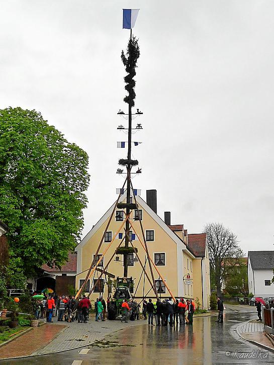 2015-05-01 maibaum-aufstellen 2015 01 05 2015 18 37 04 d