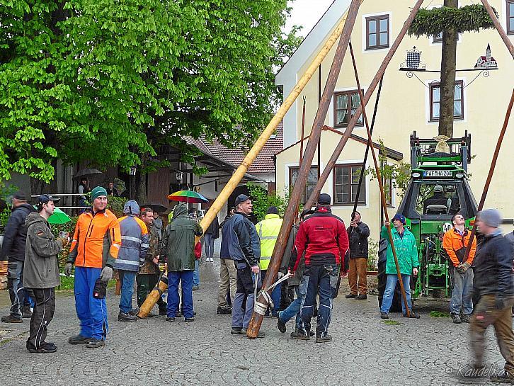 2015-05-01 maibaum-aufstellen 2015 01 05 2015 18 38 25 f