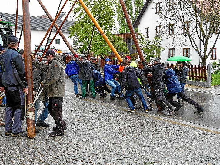 2015-05-01 maibaum-aufstellen 2015 01 05 2015 18 41 38 f