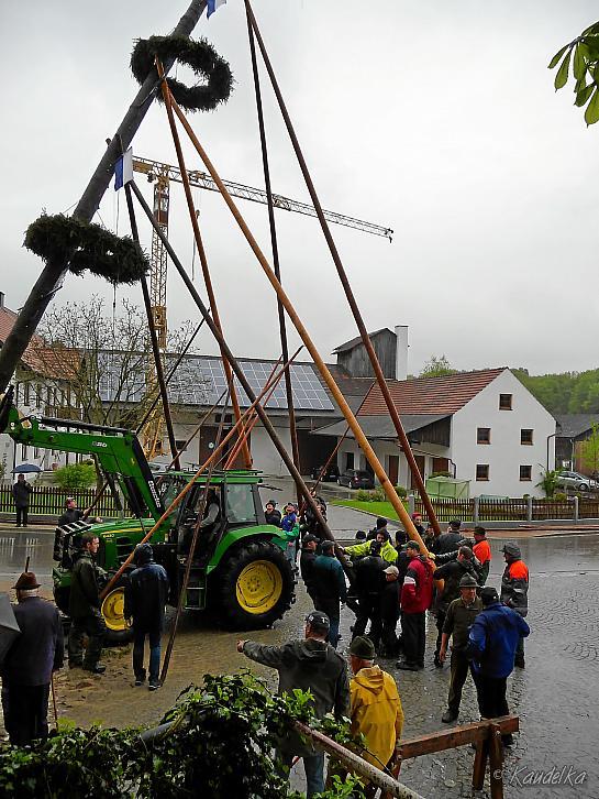 2015-05-01 maibaum-aufstellen 2015 01 05 2015 18 44 14 d