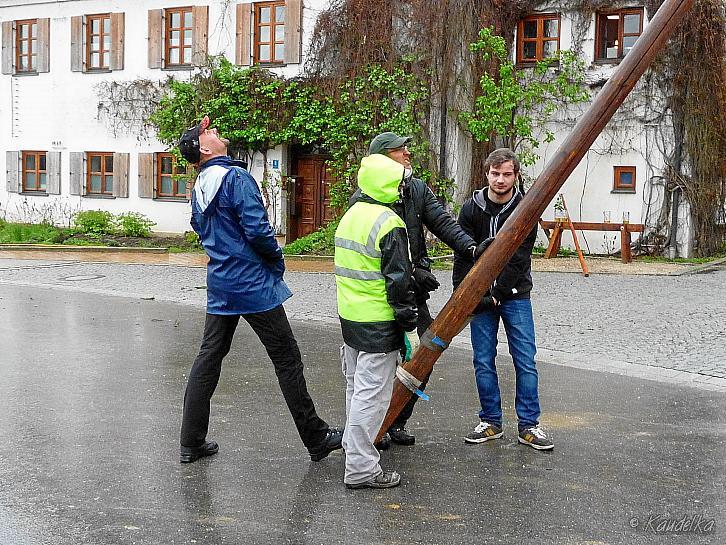 2015-05-01 maibaum-aufstellen 2015 01 05 2015 18 59 21 f