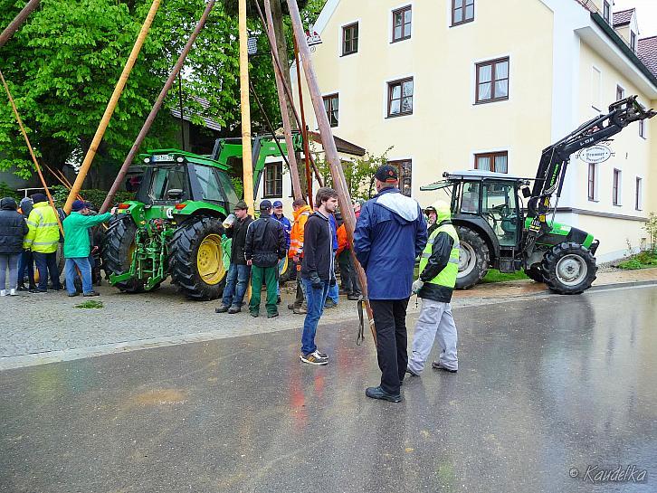 2015-05-01 maibaum-aufstellen 2015 01 05 2015 19 09 57 p