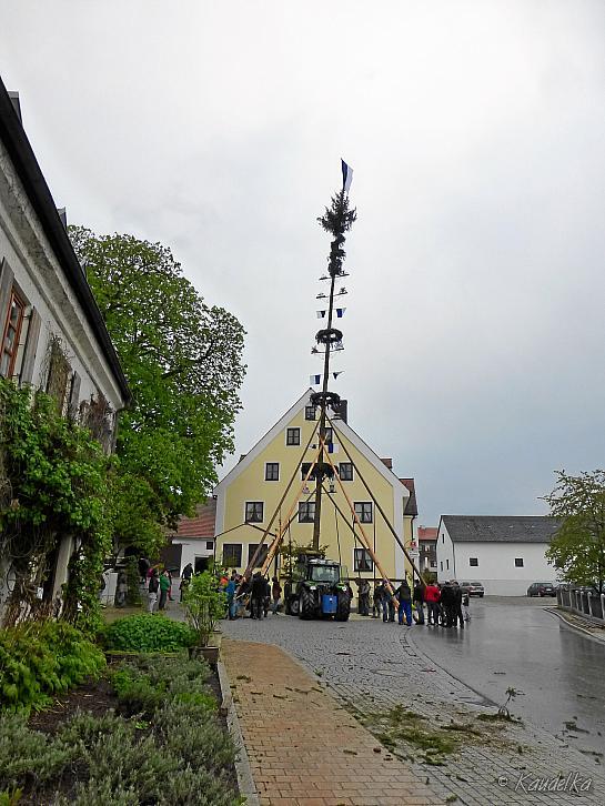 maibaum-aufstellen 2016 01 05 2016 02