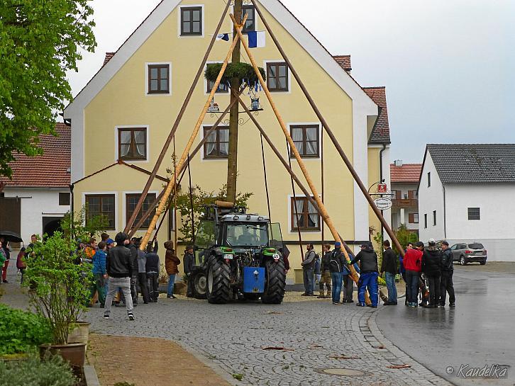 maibaum-aufstellen 2016 01 05 2016 03
