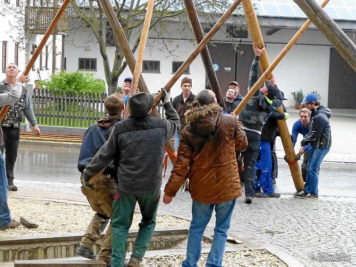 maibaum-aufstellen 2016 01 05 2016 08
