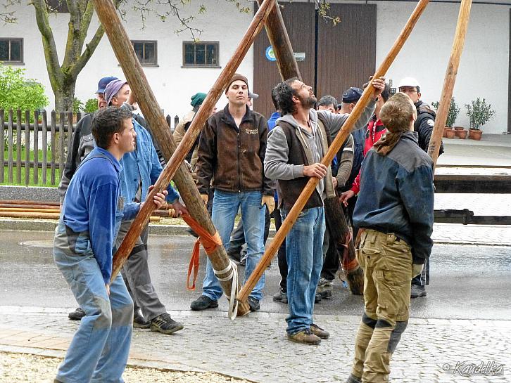 maibaum-aufstellen 2016 01 05 2016 09